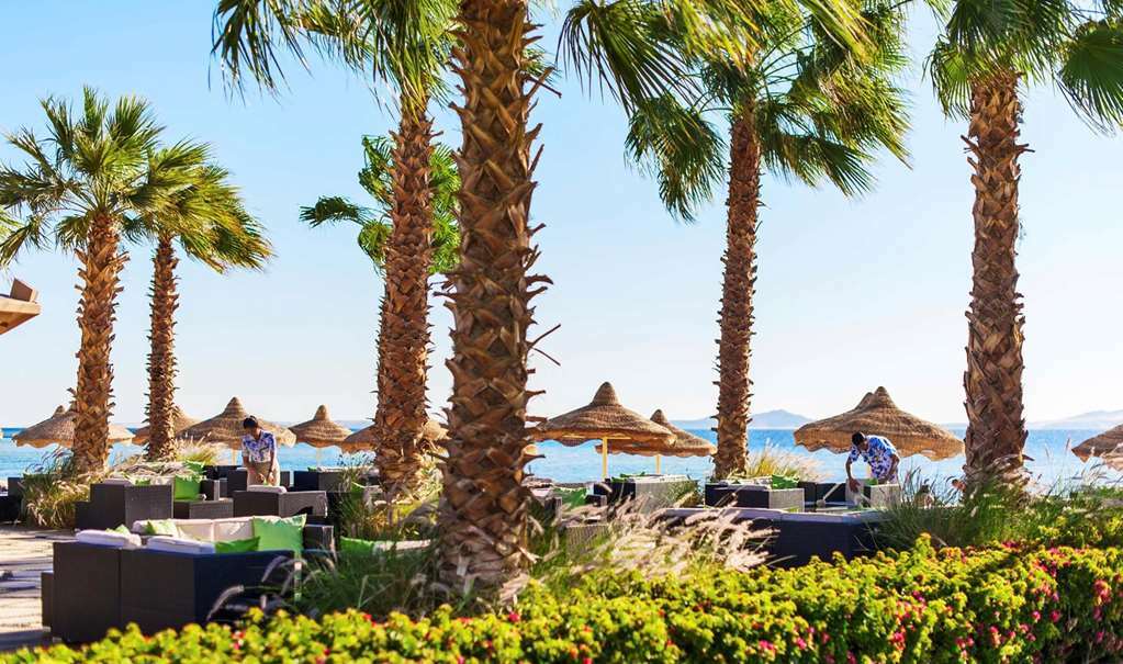 Baron Resort Sharm El Sheikh (Adults Only) Natura zdjęcie